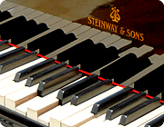 The Player Piano